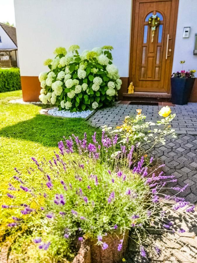 Ferienwohnung Ilona Zweibrucken Bagian luar foto